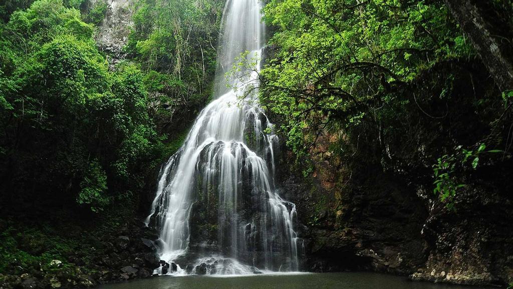 Posada Del Chaman Iguazu Пуерто-Іґуасу Екстер'єр фото